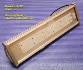   standard led prom-100